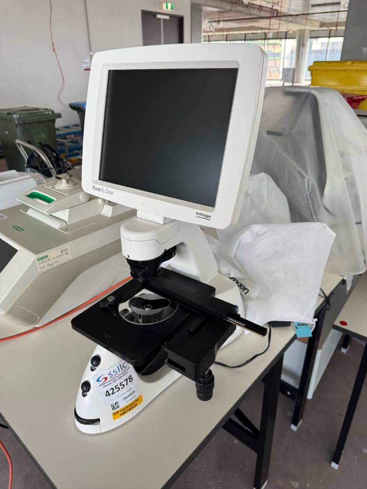 Image of Invitrogen Evos XL Core Digital microscope